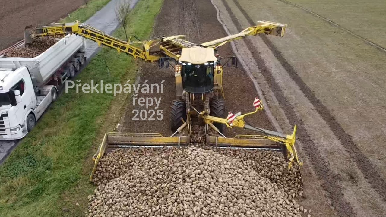 Překlepávání řepy 2025 🤩🤩 | Ropa Maus 5 💛 | Zd dřevohostice |