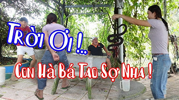 Vì Sao Thuỳ CàLem Dám Cầm Con Rắn Nhát Bà Bé Xem Rồi Sẻ Biết