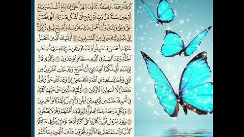تلاوة سوره(الأحقاف)بصوت رائع الشيخ ابراهيم الأخضر 💙💜