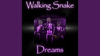 Beyond Our Wildest Dreams