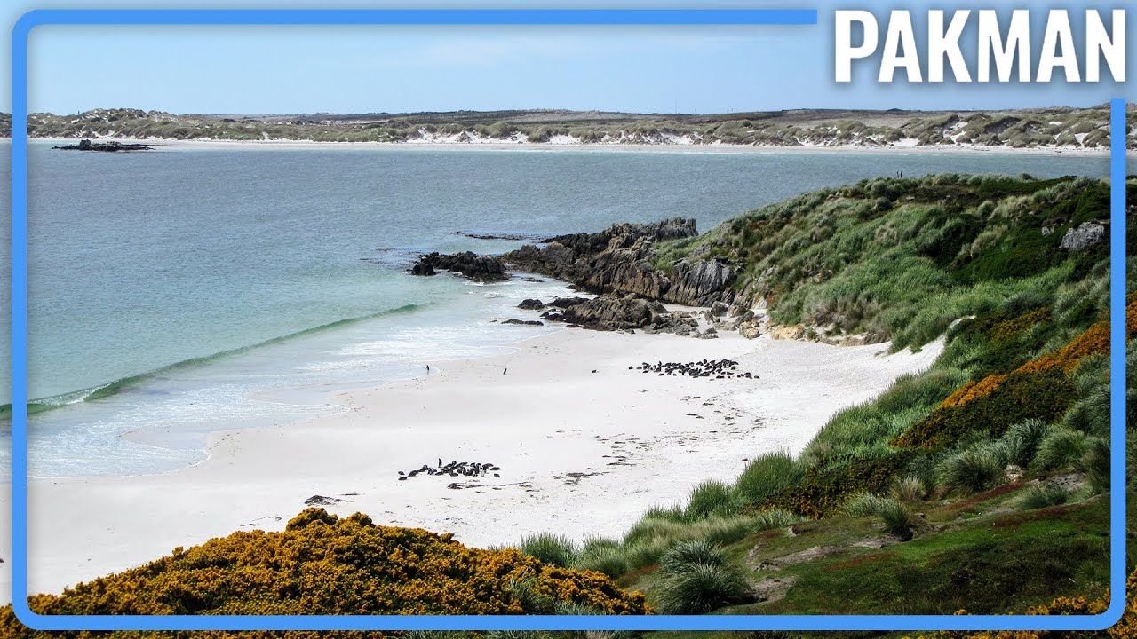 Who SHOULD the Falkland Islands Belong To? YouTube