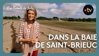 Julie's Notebooks - The Bay of Saint-Brieuc screenshot 2