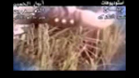 YouTube   C  Documents and Settings الصحي Desktop New Folder 2 AVSEQ03 new 3gp