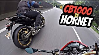 CB1000R VS DUAS HORNET‼️ ZX10 APARECEU DO NADA‼️