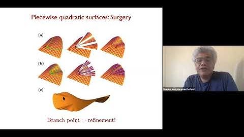 Shankar Venkataramani -  On branch points and C^{1,1} pseudospherical immersions