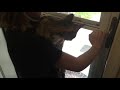 Stormy the kitten first outdoor escapade