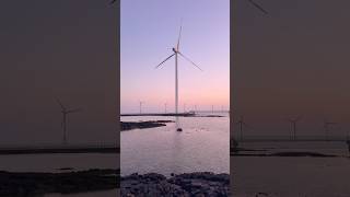 제주도에서 풍차보기 좋은 해안가는⁉️