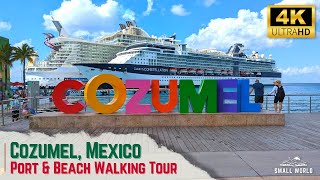 Cozumel, Mexico | Walking Tour - International Cruise Terminal, Port Shopping, & Beach Walks