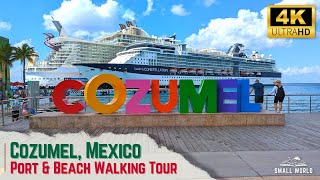 Cozumel, Mexico | Tropical ASMR Ambient Walking Tour - Cruise Terminal, Port Shopping, & Beach Walks