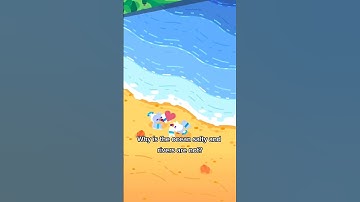 Why Is the Ocean Salty and Rivers Are Not?