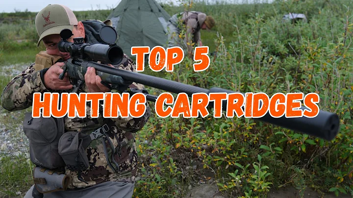 5 Best Hunting Rifle Cartridges for Western Hunters