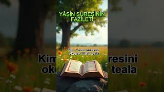 YASİN SURESİNİN FAZİLETİ #yasin #kuranıkerim #tilavet #surah #amin #korunmaduası #namaz #duadinle