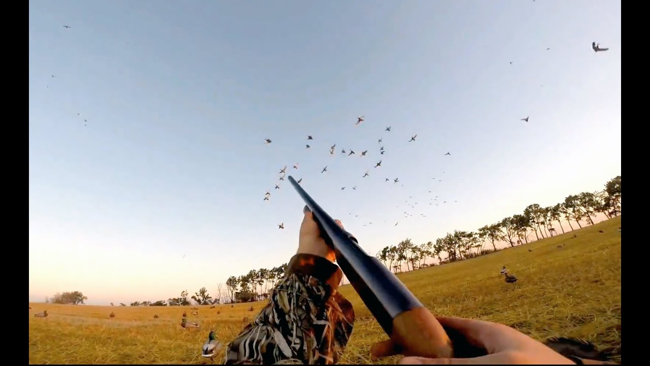 North Dakota Duck Hunt 2014 YouTube