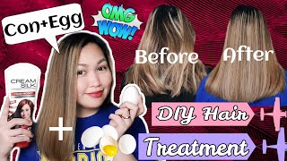 DIY HAIR TREATMENT | CONDITIONER + EGG ( CONEGG )