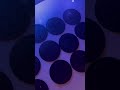 3D printed coasters twin pack #3dprinting