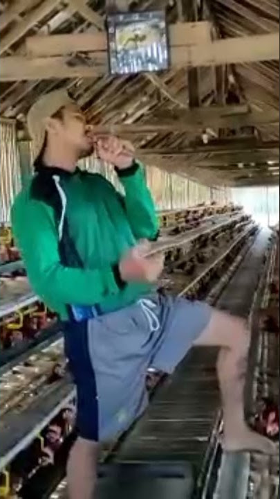 KONSER with pitik #arilasso #hampa