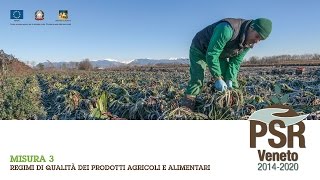 Misura 3 PSR 2014-2020 Regione Veneto - Regimi di qualità dei prodotti agricoli e alimentari