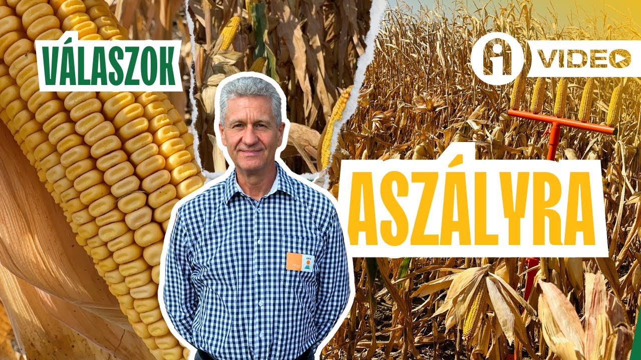 Termelésbiztonság: Hogyan csökkentsd a kockázatokat?