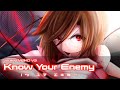 Know Your Enemy / MEIKO V3