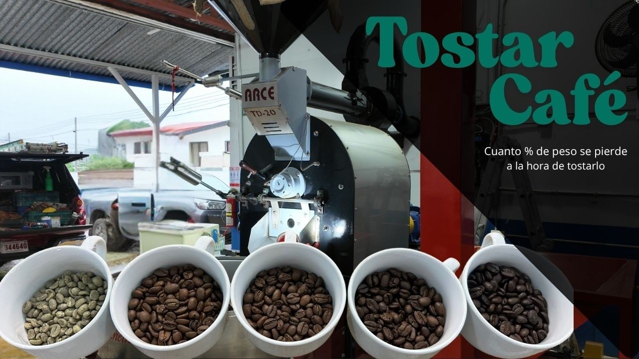 cuanto peso se pierde al tostar el cafe