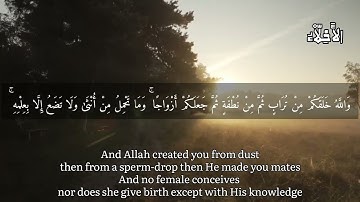 و الله خلقكم من تراب ثم من نطفة | سورة فاطر حالات واتساب | الأَخِلّاْءُ