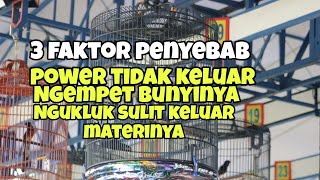 Download Lagu 3 faktor penyebab murai batu suara kurang ngotot,banyak ngukluk dan ngempet saat di gantang MP3 Download Lagu 3 faktor penyebab murai batu suara kurang ngotot,banyak ngukluk dan ngempet saat di gantang MP3