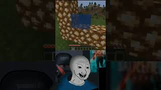 Minecraft Cennet Portalı