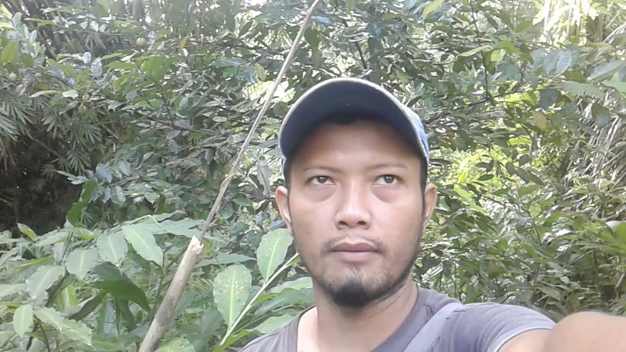 Mau kuliahin anak tanam 50 pohon pala