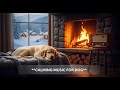 12 hours of Calming Dog Music for Stress Relief & Relaxation : Perfect for Anxious Pups 🐕😴