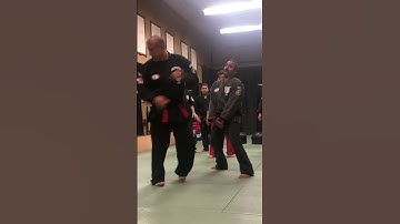 Techniques are tools for concepts and principles #edparkersr #kenpo #karate