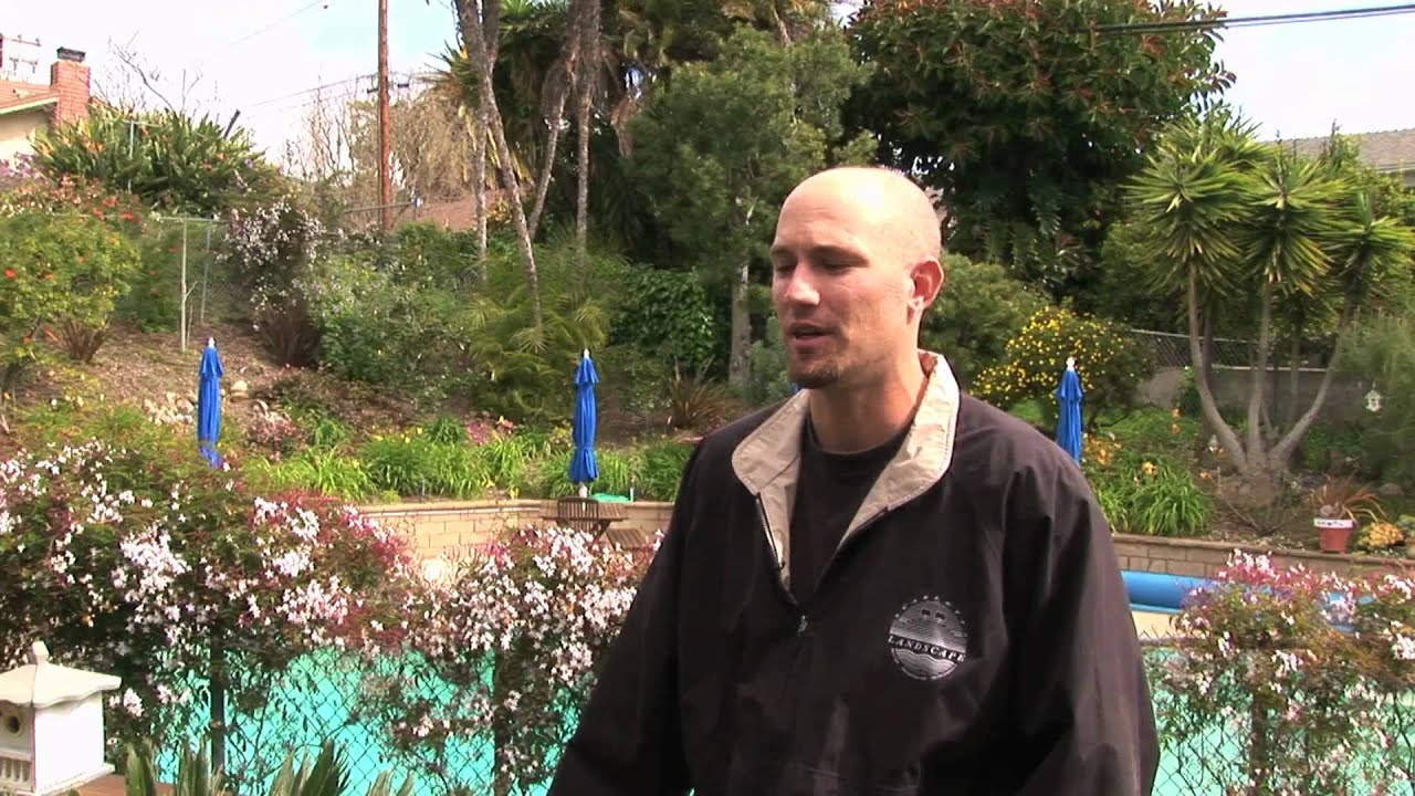 Landscape Design Ventura | Landscaping Services Ventura - Meet Scarlett's Landcape