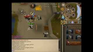 Dharok Strength training at Monkey Guards