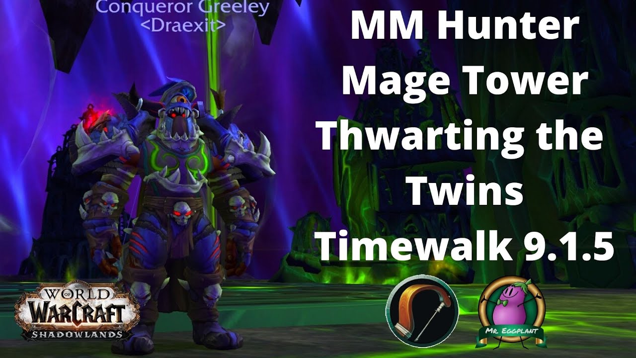 Thwarting the Twins | MM Hunter POV | Legion Timewalking Mage Tower 9.1.5