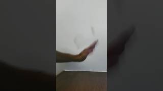 HAND FLIP