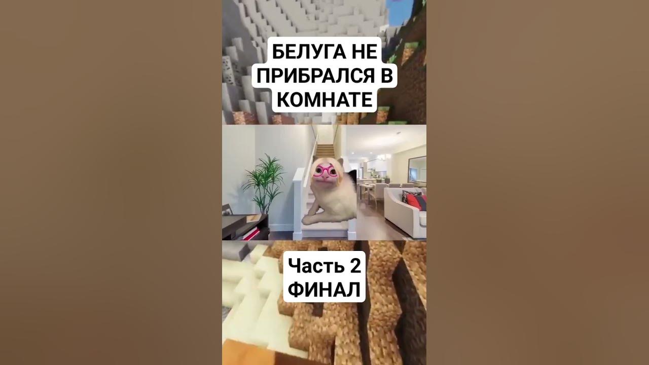 #белуга #мем #мемы #перевод - YouTube