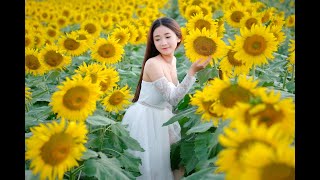 爱与不爱的人都是你 - 王娜 (唱) Bài Hát Tiếng Hoa - Chinese (Mandarin) song