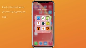 Gallagher Animal Performance: Connecting to HR5