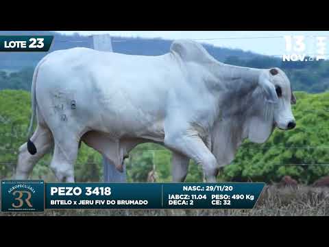 LOTE 23   PEZO 3418