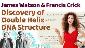 James Watson and Francis Crick Model of DNA | How Double Helix DNA structure was discovered