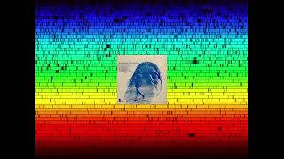 Linda Perhacs - Paper Mountain Man