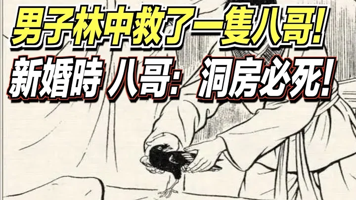 男子林中救了一隻八哥！在他新婚大喜時，八哥竟然跟他說：你進去洞房必死！ ｜道聽途說 - 天天要聞