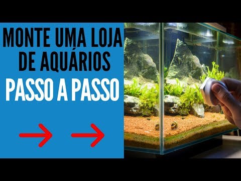 Vídeo: Como Começar Um Negócio De Aquários