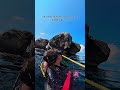 Koh Tao Scuba Diving: Don’t Miss THIS Epic Dive Site! 🐠🌊 (Underwater Paradise!