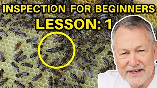 Beekeeping Inspection Lesson One: Finding & Evaluating Your Queen