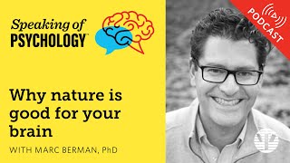 Why nature is good for your brain, with Marc Berman, PhD | Speaking of Psychology
