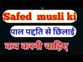 सफेद musli की पाल पद्दति से छिलाई कब होती हैं || pal पद्दति se chhilai kab karni chahiye ||