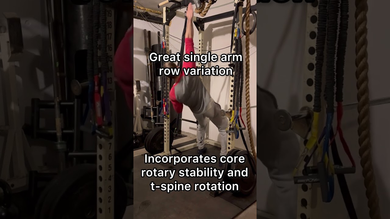 Single Arm Ring Row with Reach | Shoulder Strength | Core Stability | Physical Therapy