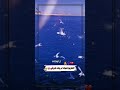 الطريق لوحدك افضل من طريق مع صديق او حبيب الطريق لوحدك افضل من طريق مع صديق او حبيب