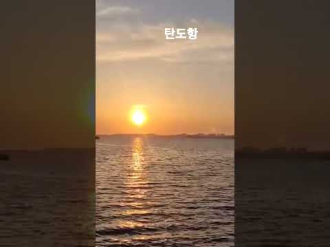 탄도항 노을 #shorts