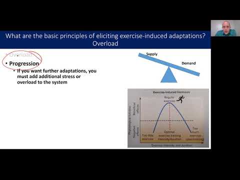 Intro to Homeostasis and Adaptation